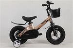 Xe đạp trẻ em Vicky VK